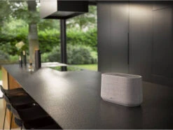 Harman Kardon Citation 300 Grijs -Nintendo Winkel 1147595