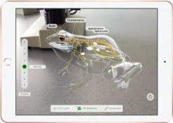 Apple IPad (2022) 10.9 Inch 256GB Wifi + 5G Blauw + Apple Pencil 1 (2022) -Nintendo Winkel 1185213 3