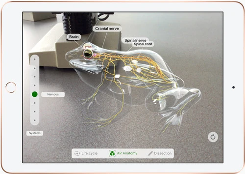 Apple IPad (2022) 10.9 Inch 256GB Wifi Blauw + Apple Pencil 1 (2022) 15 Apple IPad (2022) 10.9 Inch 256GB Wifi Blauw + Apple Pencil 1 (2022) - Afbeelding 15