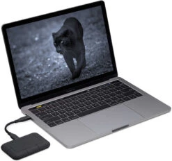 LaCie Rugged Pro Thunderbolt SSD 1TB 11 LaCie Rugged Pro Thunderbolt SSD 1TB -Nintendo Winkel 1294200