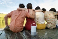 Bose Portable Home Speaker Zilver -Nintendo Winkel 1297608