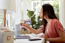 Bose Portable Home Speaker Zilver -Nintendo Winkel 1297611