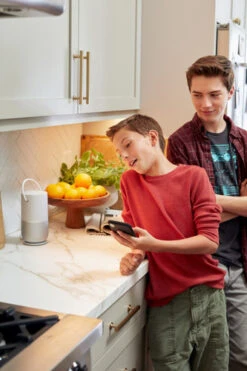 Bose Portable Home Speaker Zilver -Nintendo Winkel 1298635