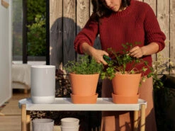 Sonos Move Wit + Muurhaak Zwart -Nintendo Winkel 1442193 2