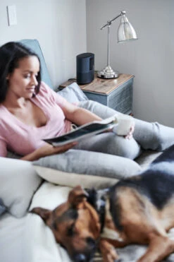 Bose Home Speaker 500 Duo Pack Zwart -Nintendo Winkel 1447734 1