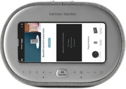 Harman Kardon Citation OASIS Grijs -Nintendo Winkel 1460982