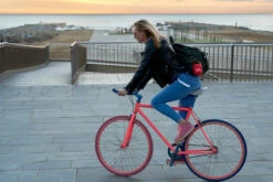 JBL Clip 4 Rood -Nintendo Winkel 1512909