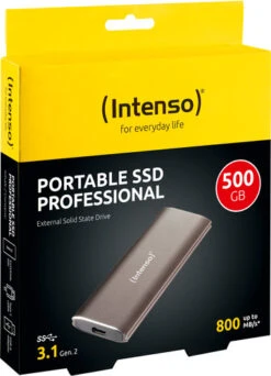 Intenso External SSD 500 GB Professional 10 Intenso External SSD 500 GB Professional -Nintendo Winkel 1518392
