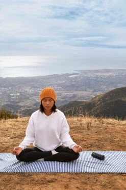 Sonos Roam + Zens Draadloze Oplader -Nintendo Winkel 1550370