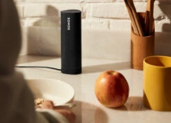 Sonos Roam SL Zwart + Wireless Charger -Nintendo Winkel 1705960 2