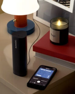 Sonos Roam SL Zwart + Wireless Charger -Nintendo Winkel 1705961 2