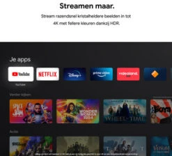 Google Pixel Tablet 256GB Wifi Crème + Chromecast 4K Met Google TV -Nintendo Winkel 1769057 3