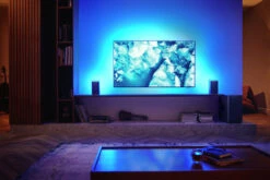 Philips Fidelio FS1 Achterspeakers ( 2x ) 21 Philips Fidelio FS1 Achterspeakers ( 2x ) -Nintendo Winkel 1899000 1