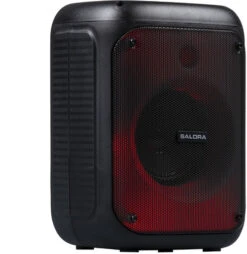 Salora Partyspeaker S1 -Nintendo Winkel 1928531