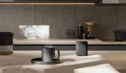 Yamaha True X-Speaker WS-X1A Zwart -Nintendo Winkel 1949080