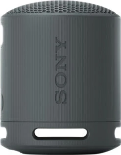 Sony SRS-XB100 Zwart