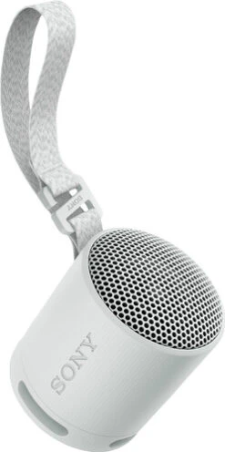 Sony SRS-XB100 Grijs -Nintendo Winkel 1957993 1