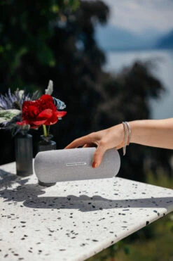 Harman Kardon Luna Grijs 14 Harman Kardon Luna Grijs -Nintendo Winkel 1958865