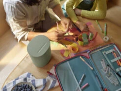 Sonos Move 2 Groen + Muurhaak Zwart -Nintendo Winkel 1962965 6