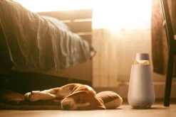 LG XBOOM Go DXO3 Beige -Nintendo Winkel 1965912