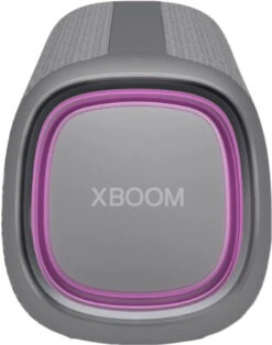 LG XBOOM Go DXG5Q Grijs -Nintendo Winkel 1968774
