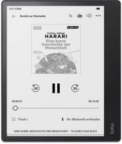 Kobo Elipsa 2E Met Kobo Stylus 2 -Nintendo Winkel 1982374 1